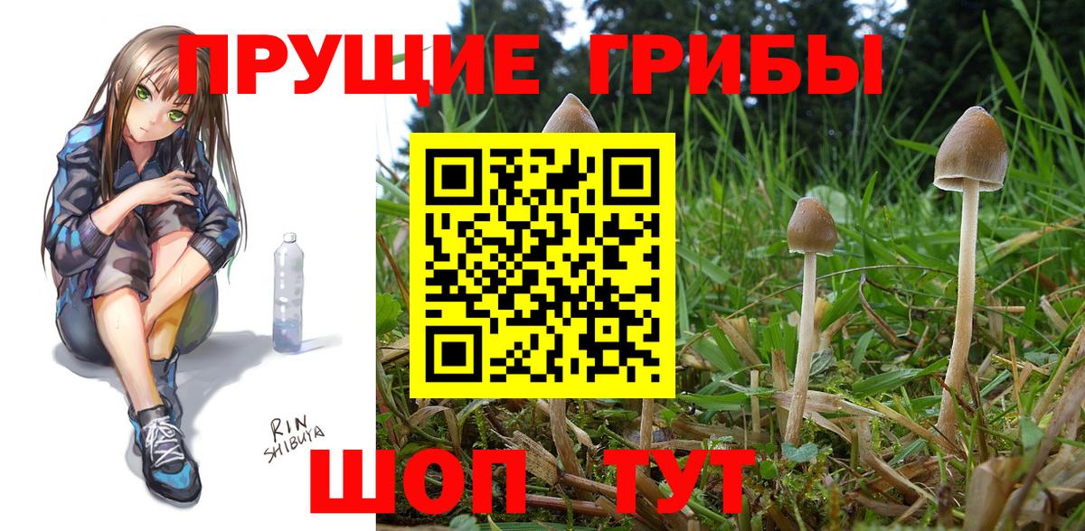 Псилоцибиновые грибы мицелий Грязи