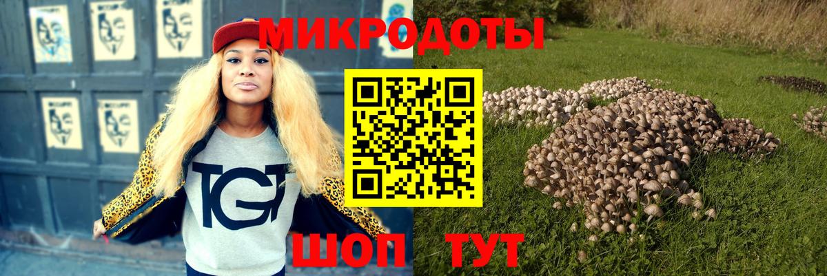 Грязи  Псилоцибиновые грибы MAGIC MUSHROOMS  Вход с VPN 