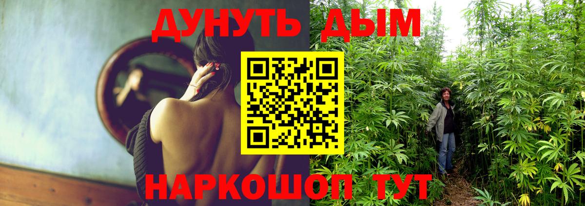 Грязи  Шишки марихуана конопля  Канабис ГИДРОПОН  Вход с VPN 